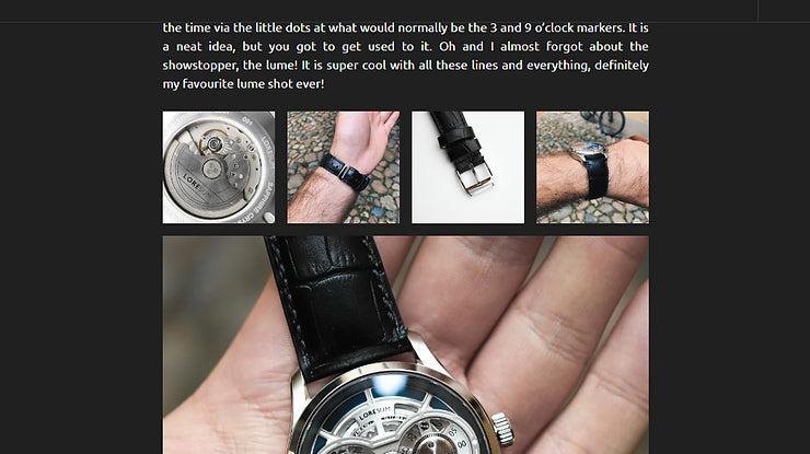 KAMINSKY reviews of LS01